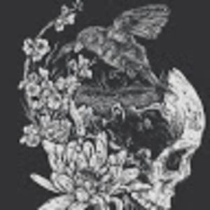 Meet your Posher, Rita